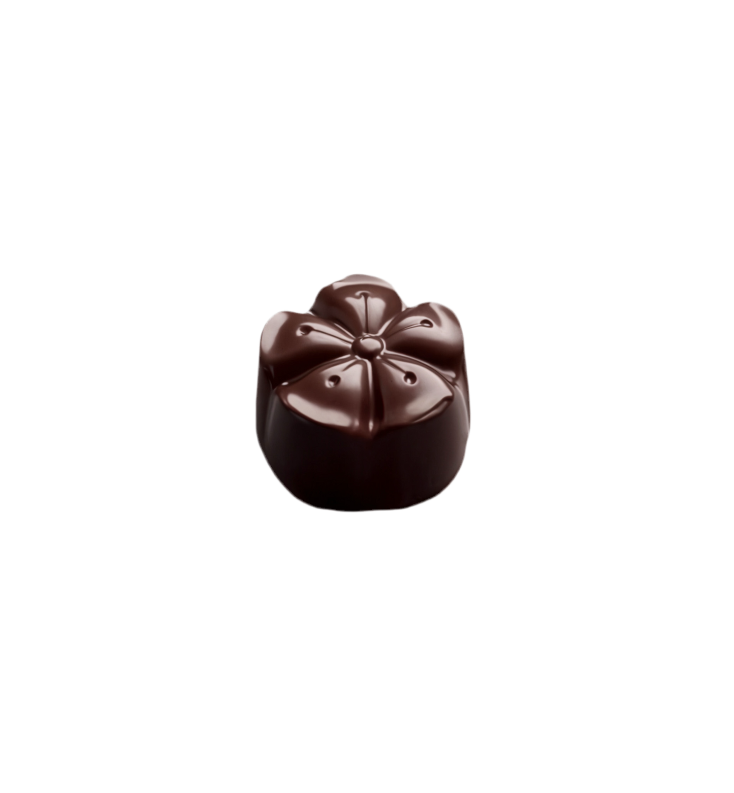 Kokos Bonbon - Chocolaterie Steenvoorden